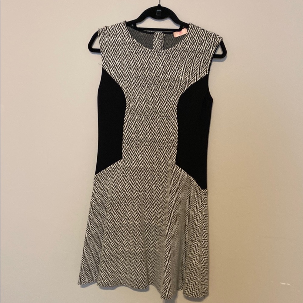 Elegant Black and White Sleeveless Dress